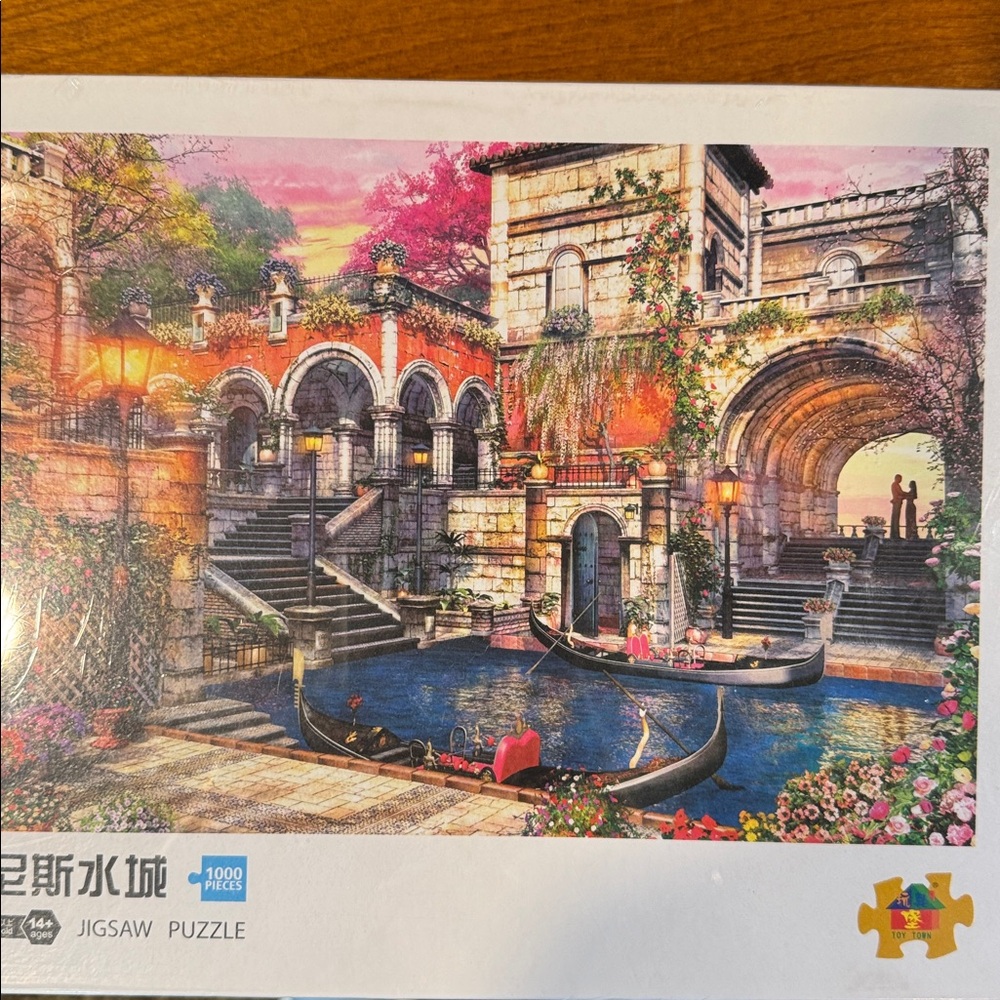 Vibrant Venice Puzzle with Pink and Blue